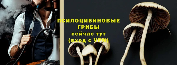 гидропоника Володарск